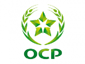 logo2-ocp-300x226